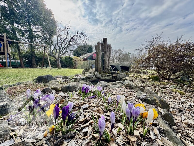 Prodej zahrádky Nový Bor - Arnultovice