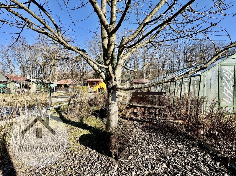 Prodej zahrádky v osobním vlastnictví v Mimoni, ul. Letná