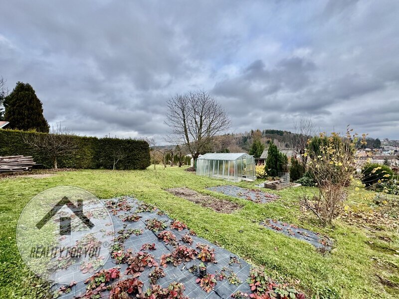 Prodej zahrádky s chatkou v Nové Pace