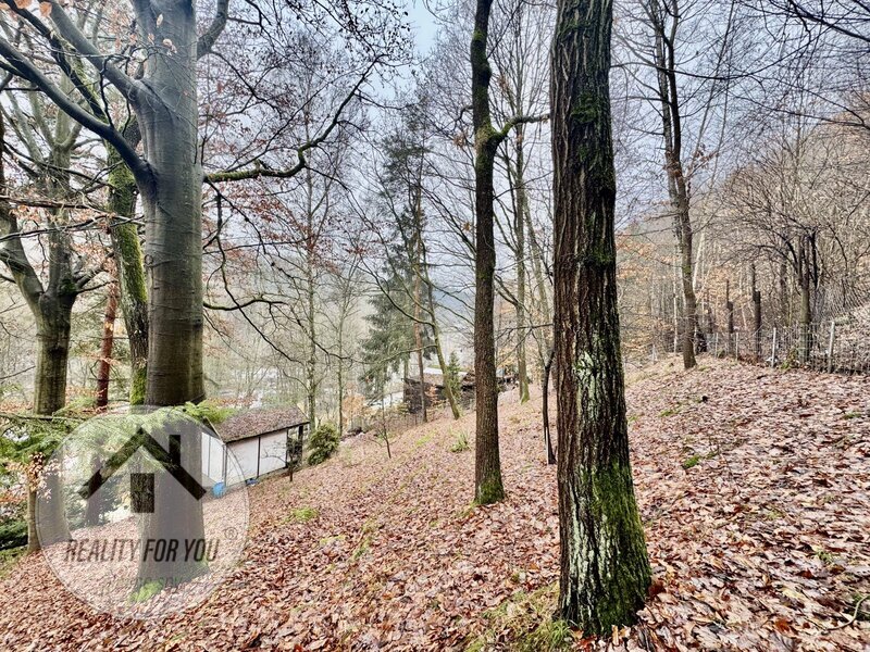 Prodej velké zahrady v Děčíně - Bynově