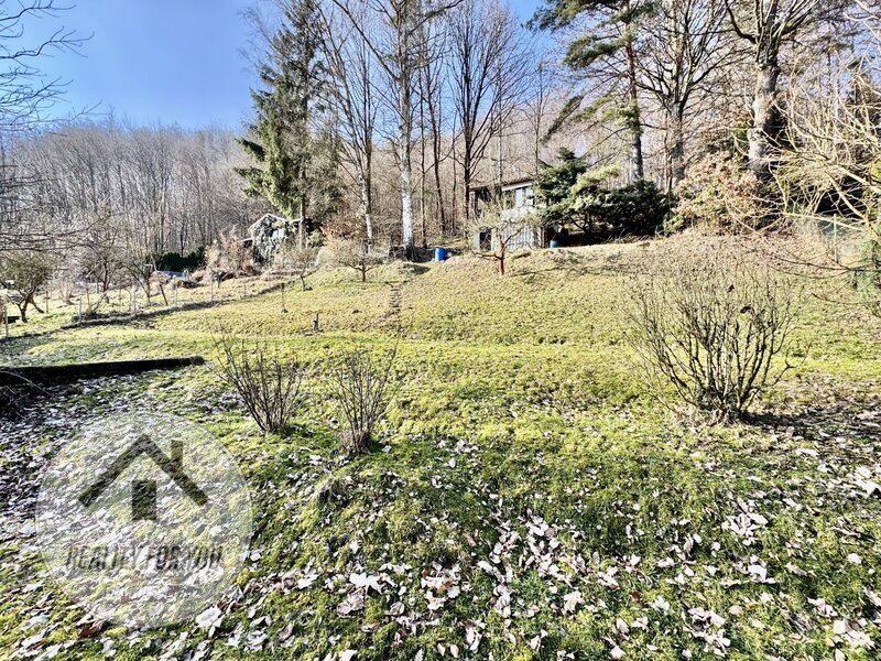 Prodej velké zahrady v Děčíně - Bynově