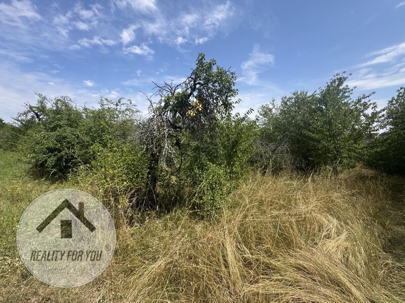 Pronájem velké zahrady  v Praze – Troji  - 1 200 m² | Jedinečný pozemek s velkým potenciálem